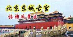 国产日逼黄片中国北京-东城古宫旅游风景区